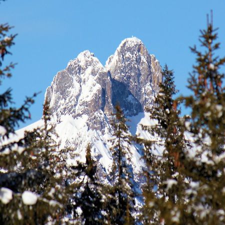 Haus Lowe Filzmoos Exteriör bild
