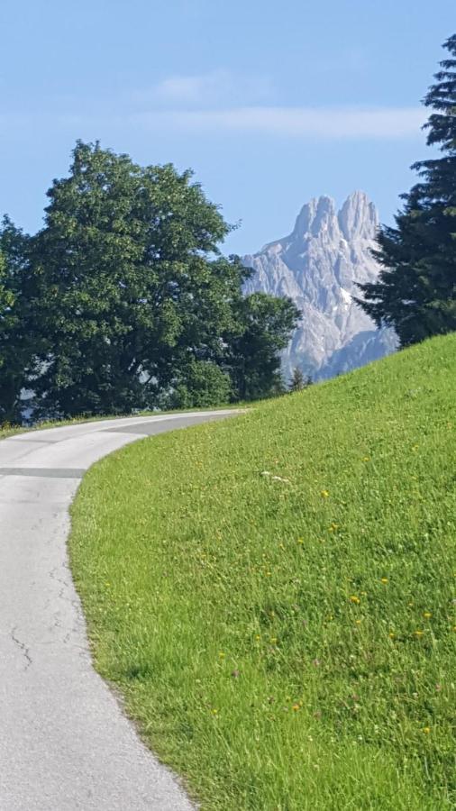 Haus Lowe Filzmoos Exteriör bild